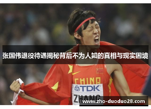 张国伟退役待遇揭秘背后不为人知的真相与现实困境