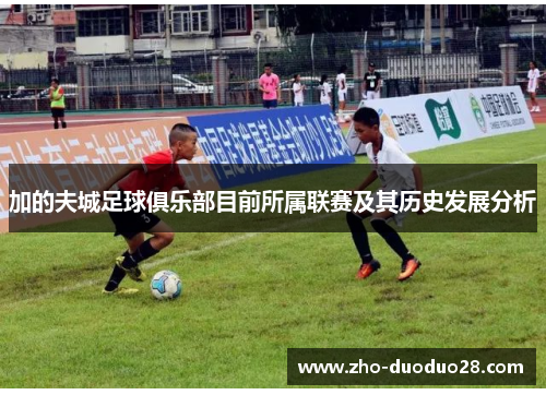 加的夫城足球俱乐部目前所属联赛及其历史发展分析